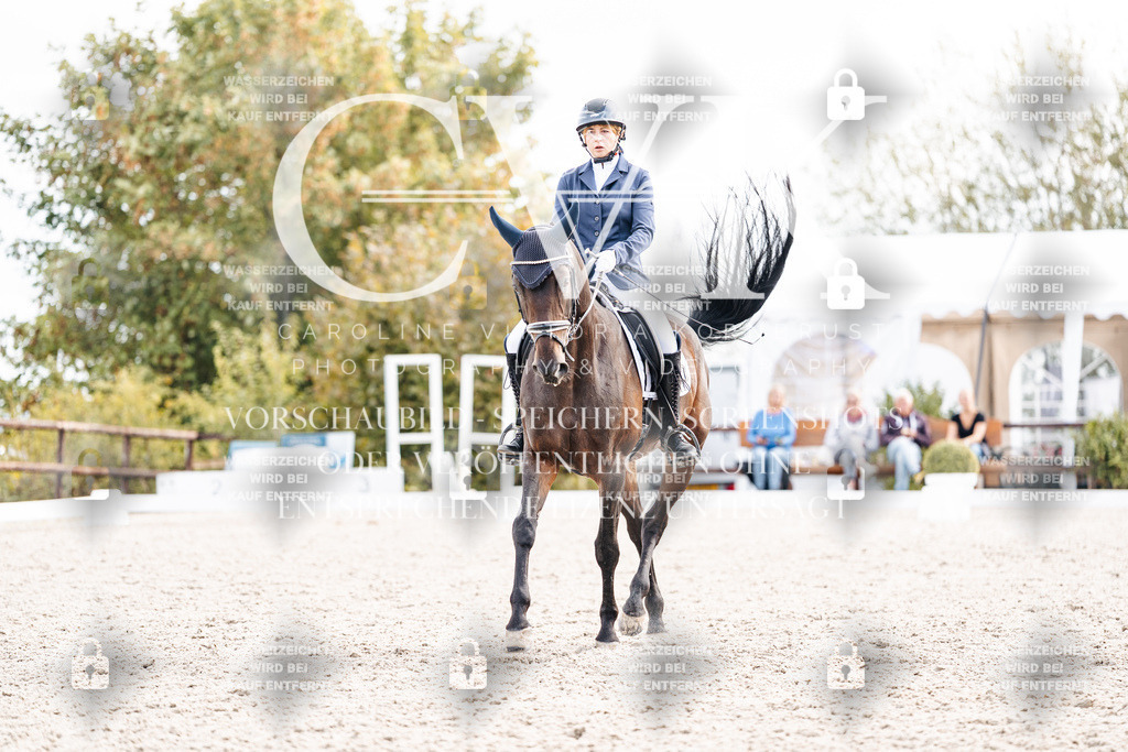 CK901499 | Turnierfotografie Pferdefotografie Trier Rheinland-Pfalz Pferdesport Reitsport Tierfotografie Sportfotografie Pferdevideo Pferdevideografie Equestrianvideography equestrianphotography  - Realisiert mit Pictrs.com