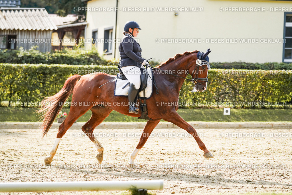 DSC07959 | Pferdegrafie