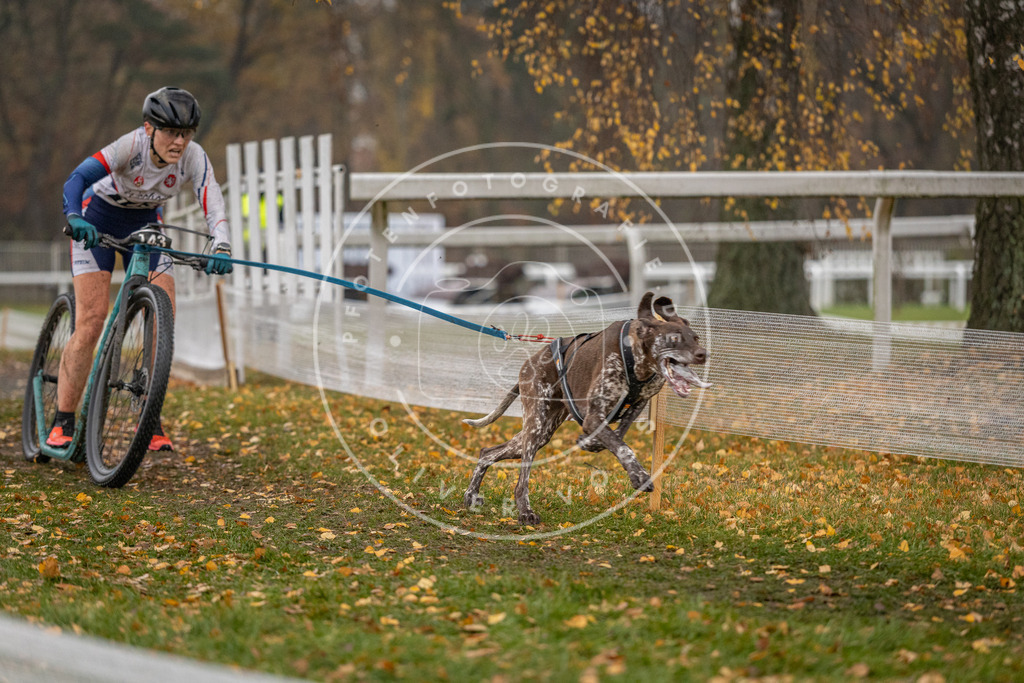 CaniXpix_DV3A7430 | Hundefotografie, Tierfotograf, Pfotenfotografie, Fotoshooting Hund, Hunde Portrait, Hundesport, Hundeportraits, Heideshooting, Hunde, Sportfotograf, Hundefotograf, Turnierhundsport, THS,  - Realisiert mit Pictrs.com
