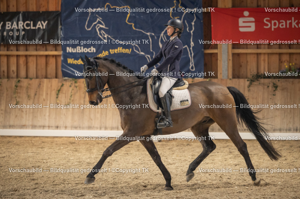 _D5A6658 | Emotionale Pferde- & People-Fotografie rund um Heidelberg, Leimen & Umgebung. Natürliche Fotos von Pferd, Mensch & Familie. Jetzt Termin sichern!