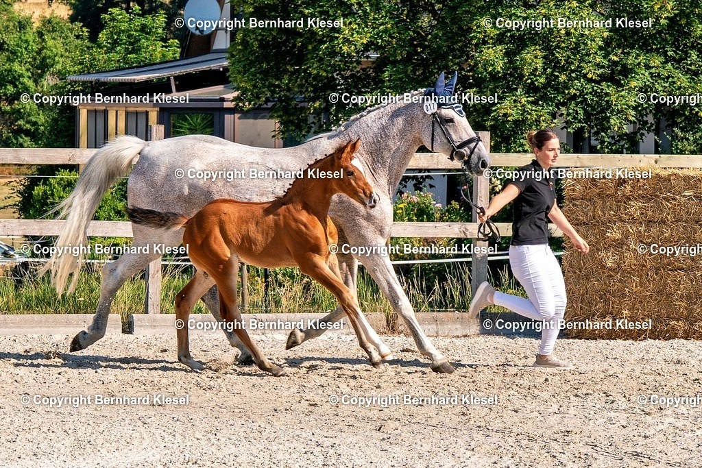 2A906408 | foto-team-bernhard - Realisiert mit Pictrs.com