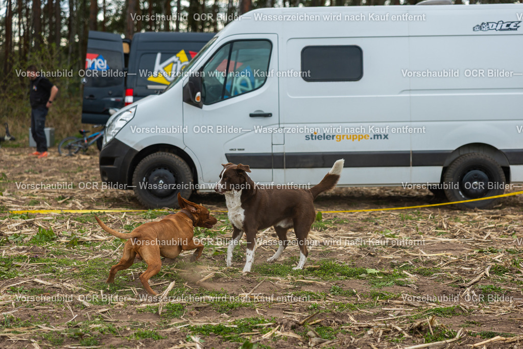 GCC Triptis Freitag-4121 | OCR Bilder Fotograf Eisenach Michael Schröder