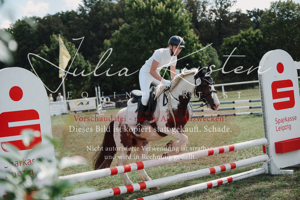 DSC_5638 | Pferde- und Turnierfotografie in Westsachsen. Pferdeportraits, Auftragszeichnungen und intuitive Kunst.