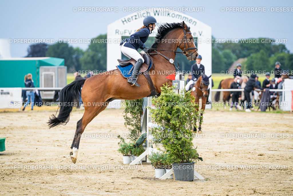 DSC03891 | Pferdegrafie