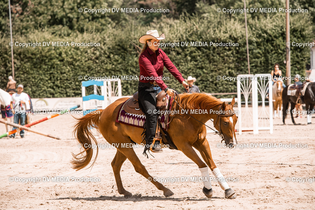 ZS3_0034 | dv-media-shop - Realisiert mit Pictrs.com