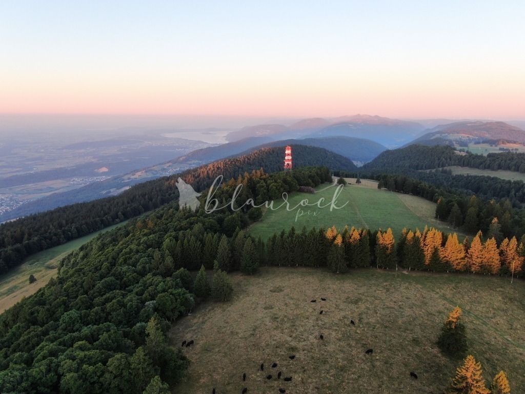 DJI_0193 | Sportbilder, Sportfotograf, Hochzeits- und Eventfotografin, Flugshows, Portraits und Tiershooting, Aviation, Downhill, Nationalleague, Swissleague, International
