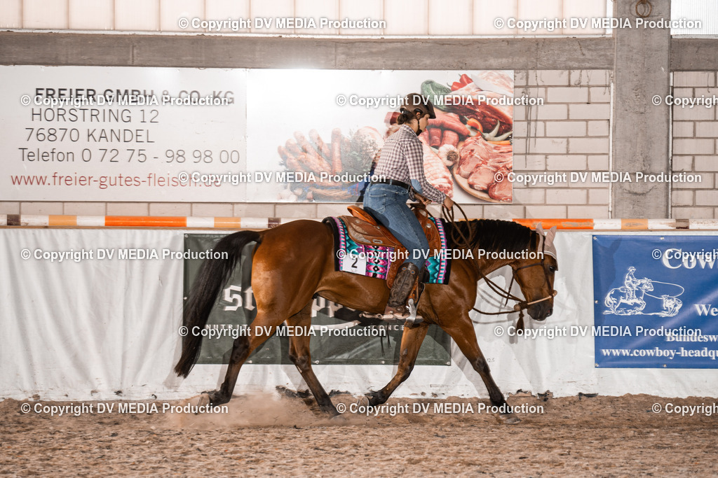 ZH100971 | dv-media-shop - Realisiert mit Pictrs.com