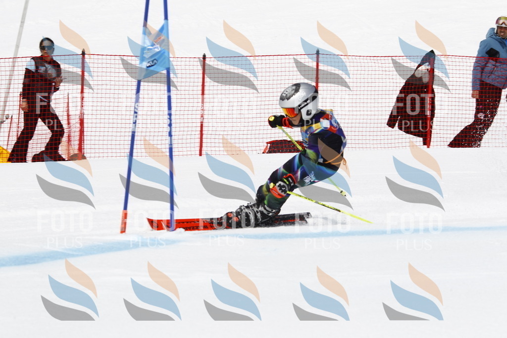 _U3G6016 | holidayphoto