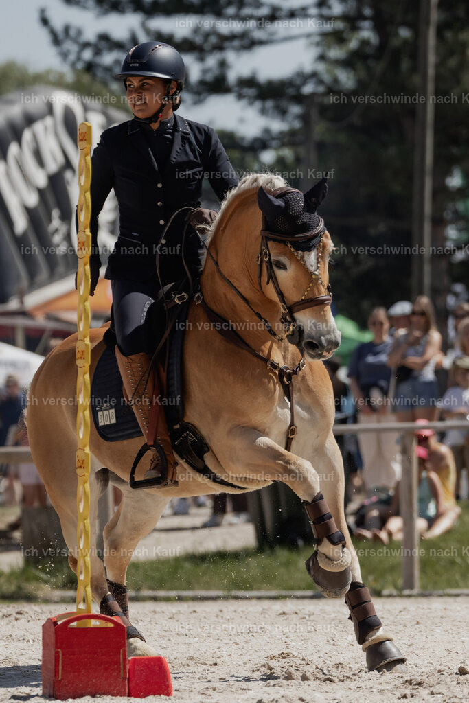 WE_SP_Stoib_308_PI2025_1616 | Pferd International München 2025