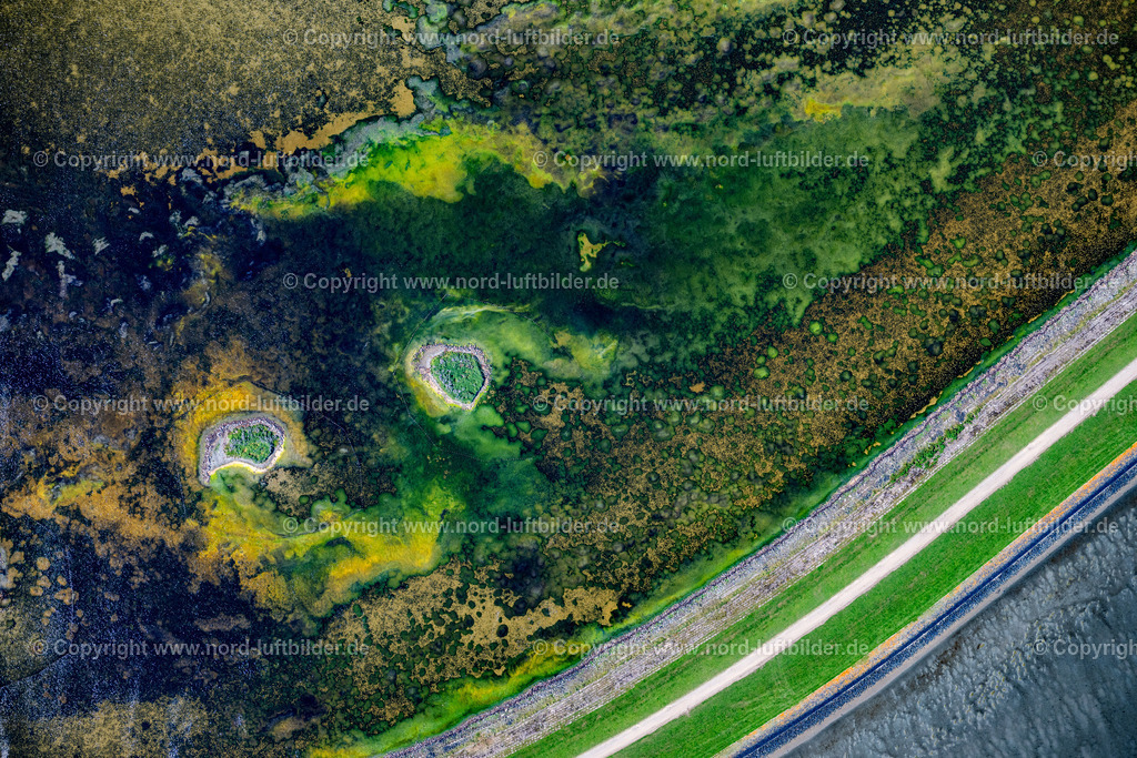 Sylt_Rantum_Rantumbecken_Salzwiesen_ELS_9595130825 | SYLT 13.08.2025 Grasflächen- Strukturen einer Feld- und Wiesen- Landschaft " Rantumbecken " in Sylt Nordsee - Insel im Bundesland Schleswig-Holstein, Deutschland. // Grass area structures of a salt marsh landscape " Rantumbecken " in Sylt North Sea Island in the state Schleswig-Holstein, Germany. Foto: Martin Elsen