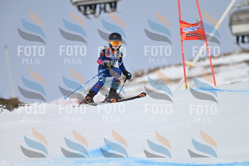 BGV_3663 | holidayphoto