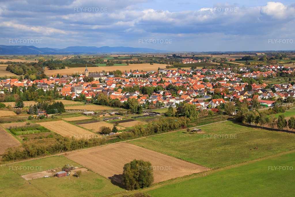 Luftbild: Ortsansicht von Südwesten in Steinfeld im Bundesland Rheinland-Pfalz in Deutschland. Foto: IMG_22495.jpg vom 15.10.2009 durch Werner Riehm/FLY-FOTO.de