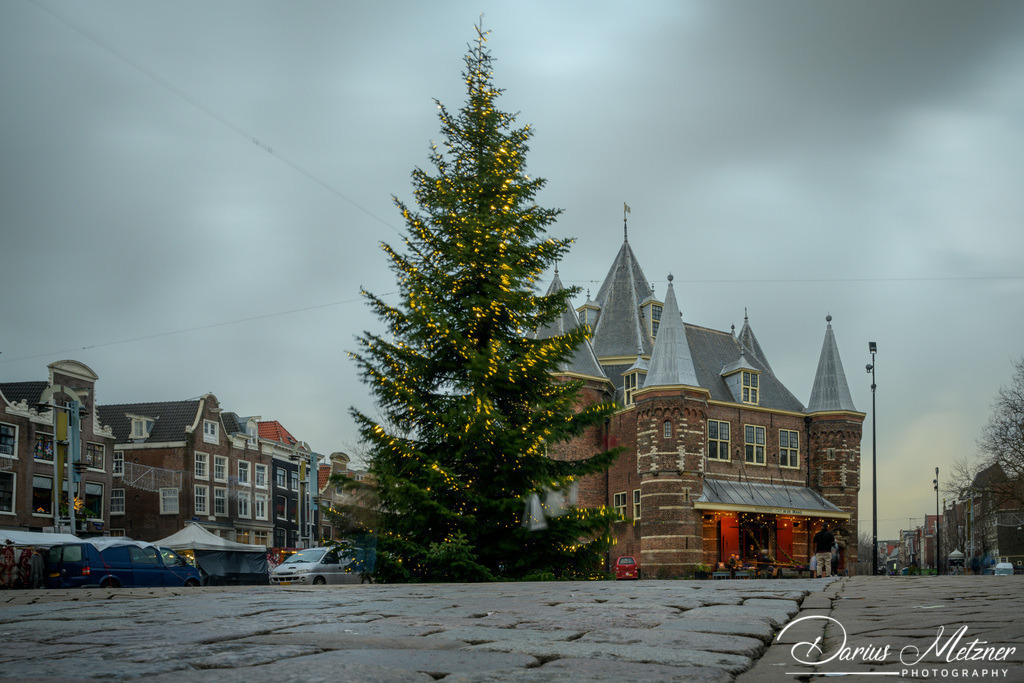 _DSC4061 | Fotografien, Fotos und Bilder aus Mainz, Frankfurt, Wiesbaden und anderen Orten auf der Welt - Fotografiert von Darius Metzner