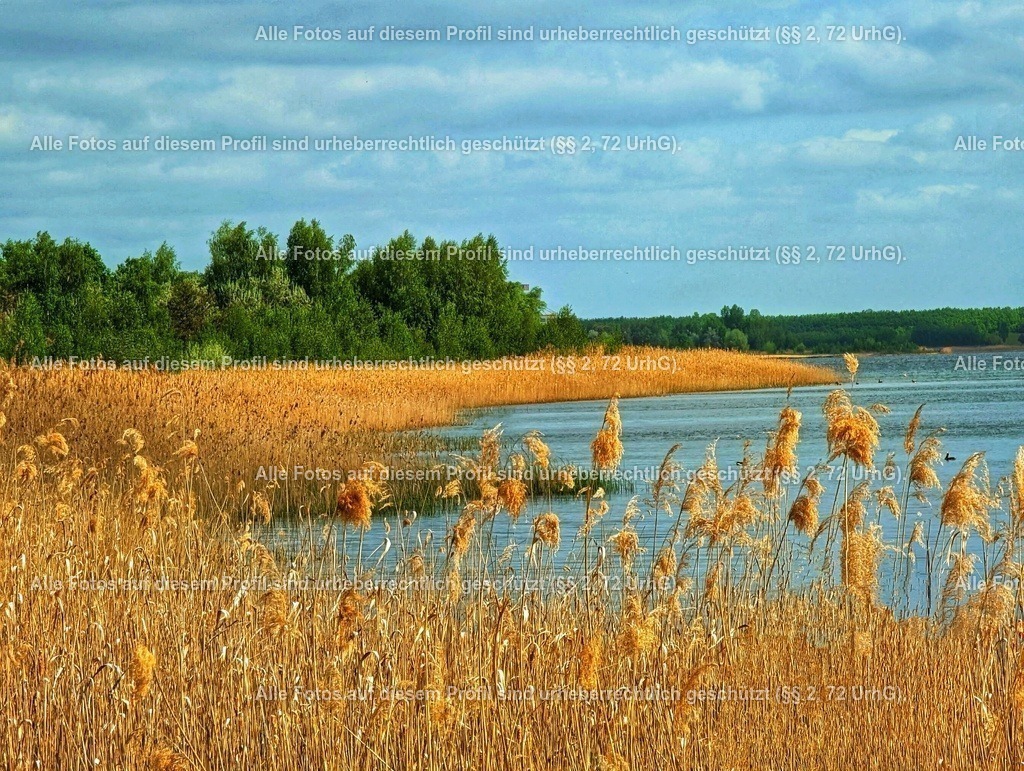 eZy_watermark_17-05-2023_12-53-25_2-01 | krollfotografie - Realisiert mit Pictrs.com