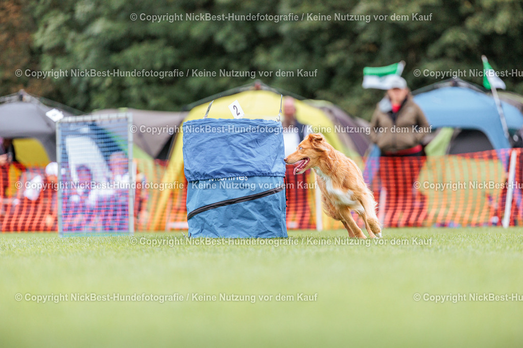 BSP Hoopers-H1 Tag2-2026-Nickbest-Hundefotografie-TuS Komet Arsten e.V.-3358 | Dein Hund! Dein Moment! Deine Erinnerungen! Hundefotografie in Bremen Blumenthal. Ich fange die besonderen Momente deines Vierbeiners ein – ob Indoor mit Blitzanlage oder in der freien Natur. Sicher dir dein Moment und dein Termin für eure Erinnerungen.
