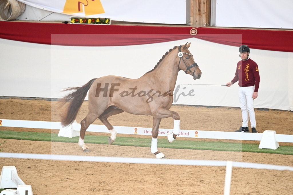 Kat.-Nr. 85 v. Vitalis_Wiens_2250793 | hf-fotografie - Realisiert mit Pictrs.com