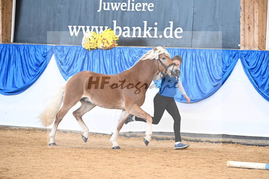 Kat-Nr. 20 nn v. Nakuri_Linder_48250992 | hf-fotografie - Realisiert mit Pictrs.com