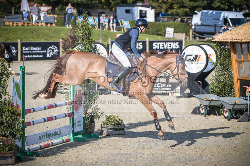 DOS_8745 | Entdecke hochwertige Reitturnierfotos von Foto Oger. Professionell, emotional und authentisch – jetzt Lieblingsmomente im Shop bestellen.Deutschlandweite Turnierfotografie. - Realisiert mit Pictrs.com