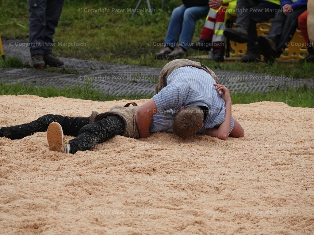 DSC07868 | Schwingen - Realisiert mit Pictrs.com