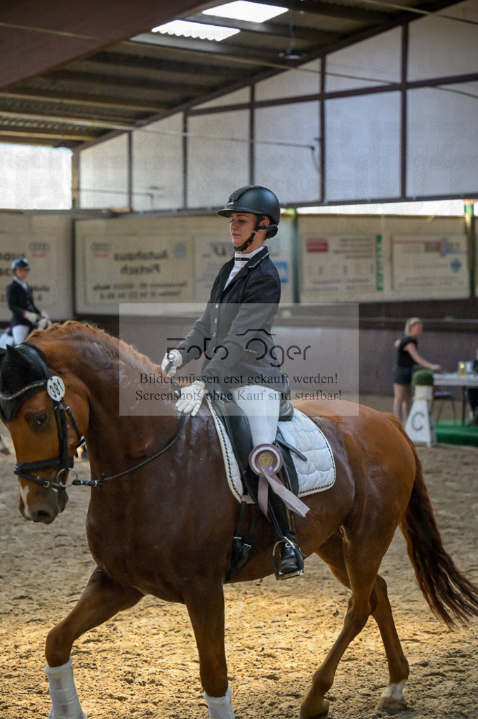 Reitturnier Voxtrup | Entdecke hochwertige Reitturnierfotos von Foto Oger. Professionell, emotional und authentisch – jetzt Lieblingsmomente im Shop bestellen.Deutschlandweite Turnierfotografie. - Realisiert mit Pictrs.com