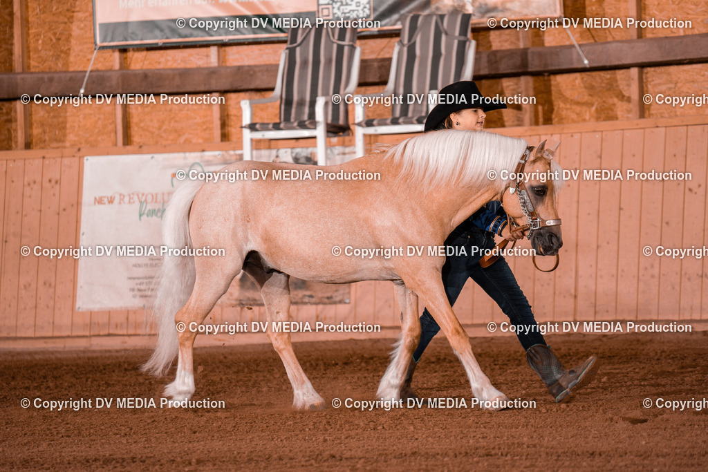 NE201527 | dv-media-shop - Realisiert mit Pictrs.com