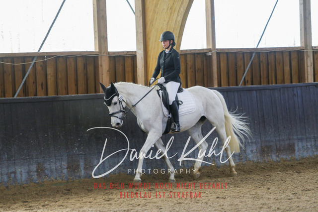 IMG_1048 | Turniersportfotografie; Pferdefotografie; Dressurfotografie