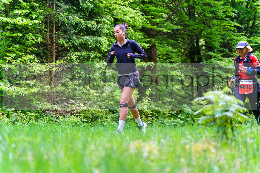 Rennsteiglauf Marathon 2025 | Marathon von Neuhaus/Rwg. nach Schmiedefeld/Rstg. am 17. Mai 2025