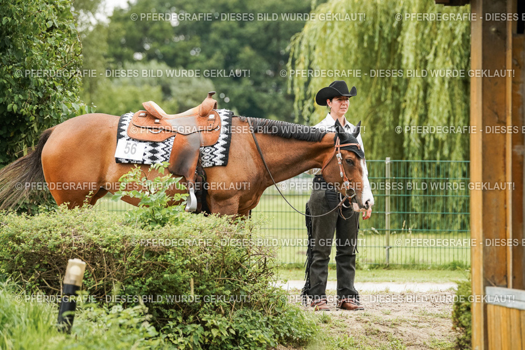 DSC08879 | Pferdegrafie