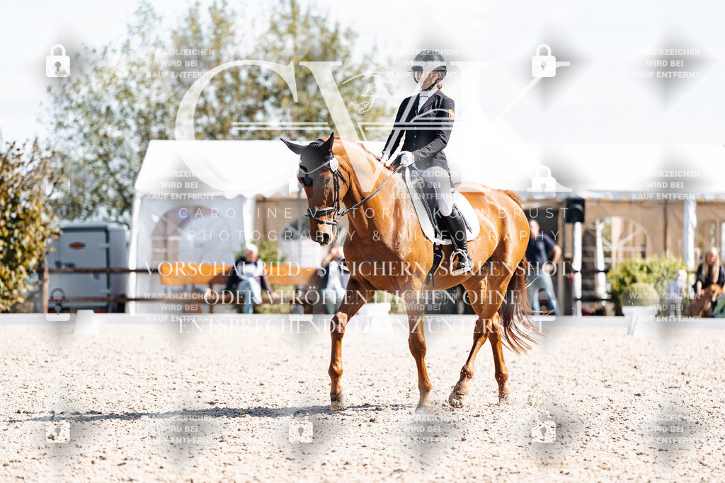 CK902812 | Turnierfotografie Pferdefotografie Trier Rheinland-Pfalz Pferdesport Reitsport Tierfotografie Sportfotografie Pferdevideo Pferdevideografie Equestrianvideography equestrianphotography  - Realisiert mit Pictrs.com