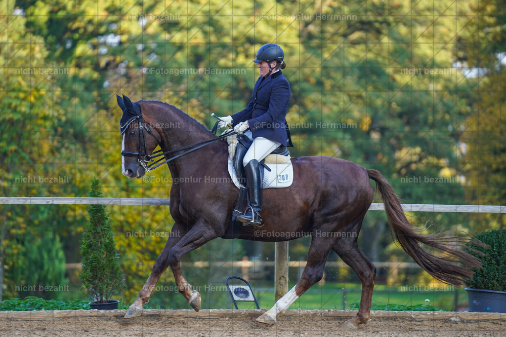 20221007-FAH00368 | Diessen am Ammersee, 2022, Dressur- und Springturnier, Reitsportbilder, Turnierfotografen Bayern, Pferdefotografen, Fotoagentur Herrmann, Turnierbilder
