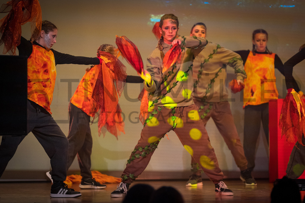 DSC05638 | Tinu Müller Fotografie- Bildershop - Realisiert mit Pictrs.com