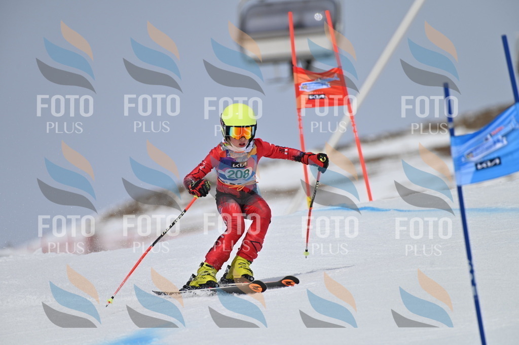 BGV_4014 | holidayphoto