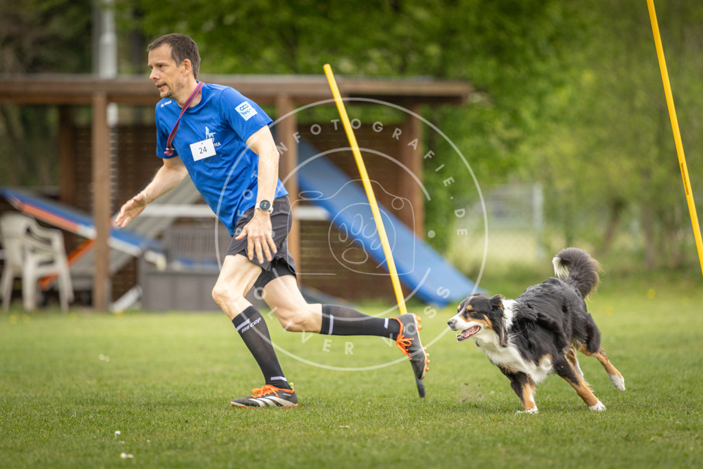 Pfotenfotografie_DV3A0171 | Hundefotografie, Tierfotograf, Pfotenfotografie, Fotoshooting Hund, Hunde Portrait, Hundesport, Hundeportraits, Heideshooting, Hunde, Sportfotograf, Hundefotograf, Turnierhundsport, THS,  - Realisiert mit Pictrs.com