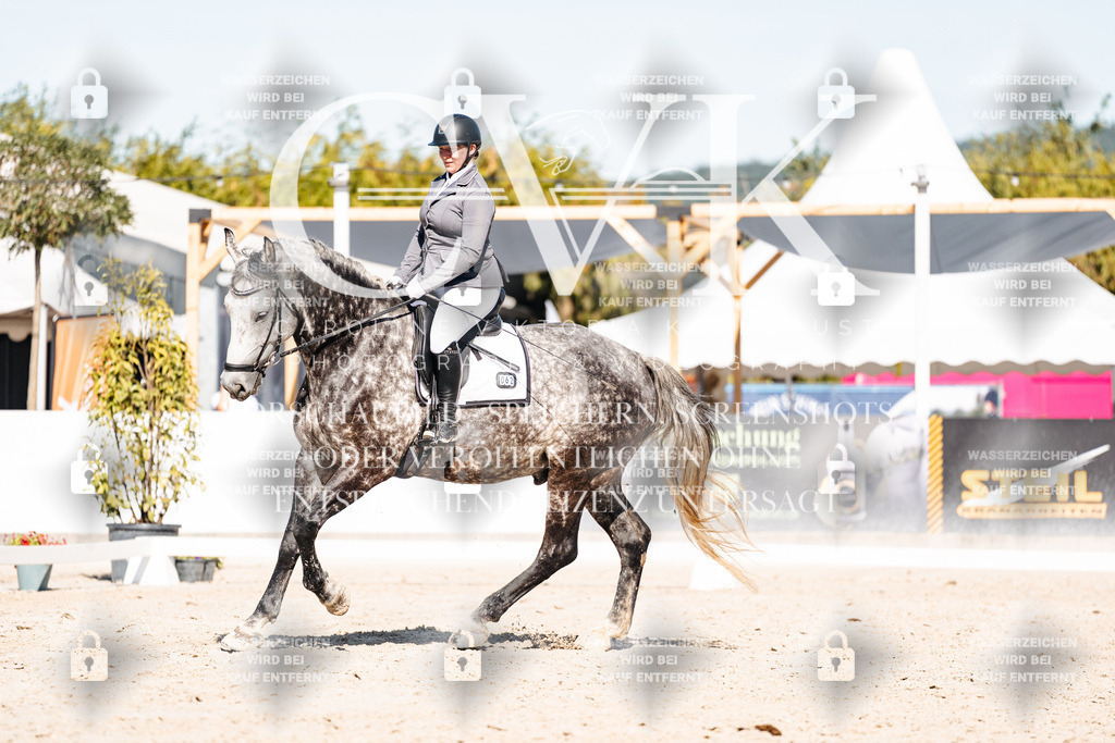 CK908286 | Turnierfotografie Pferdefotografie Trier Rheinland-Pfalz Pferdesport Reitsport Tierfotografie Sportfotografie Pferdevideo Pferdevideografie Equestrianvideography equestrianphotography  - Realisiert mit Pictrs.com