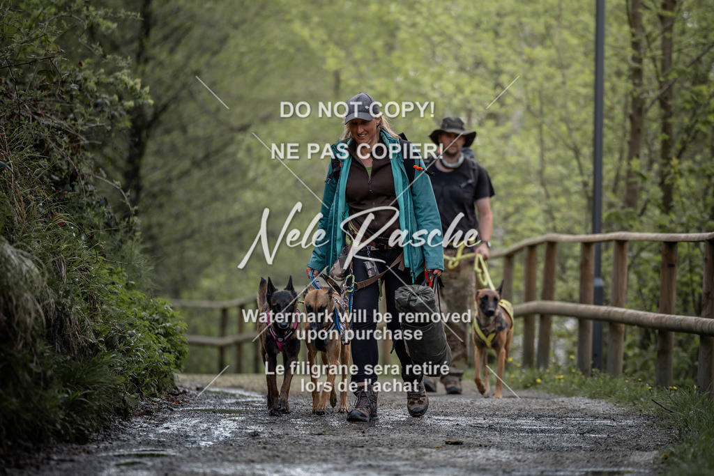 nelerasche_TheGame2026_SaCampEinlauf_363 | nelerasche
