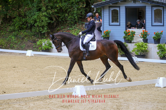 DKP40997 | Turniersportfotografie; Pferdefotografie; Dressurfotografie