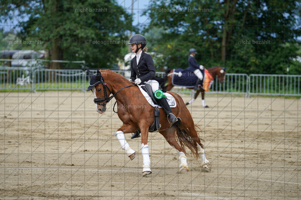 20240630-FAH02474 | Turnierbilder Schwabmünchen, Dressurbilder, Springreitturnier, Reitsportbilder, Turnierfotografen Bayern, Turnierfotograf
