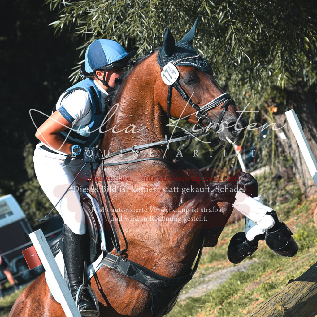 DSC_8716 | Pferde- und Turnierfotografie in Westsachsen. Pferdeportraits, Auftragszeichnungen und intuitive Kunst.