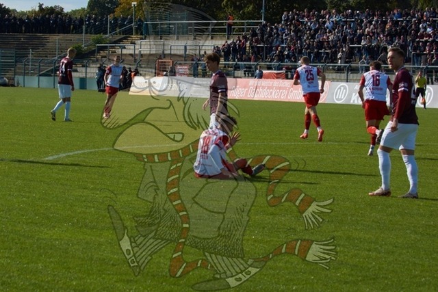 BFC Dynamo vs. FSV Zwickau 019 | mythos-online-redaktion