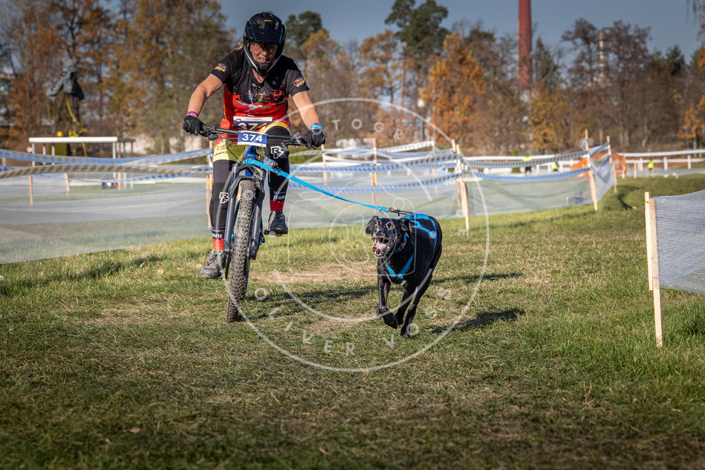 CaniXpix_0L8A6511 | Hundefotografie, Tierfotograf, Pfotenfotografie, Fotoshooting Hund, Hunde Portrait, Hundesport, Hundeportraits, Heideshooting, Hunde, Sportfotograf, Hundefotograf, Turnierhundsport, THS,  - Realisiert mit Pictrs.com