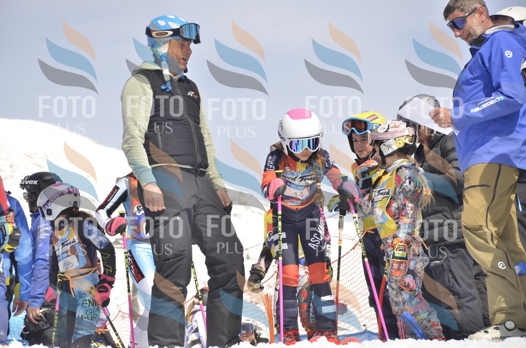 _ELE8572 | holidayphoto