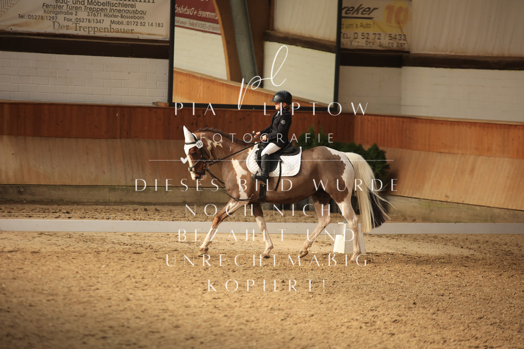 IMGT5823 | pl-fotografie