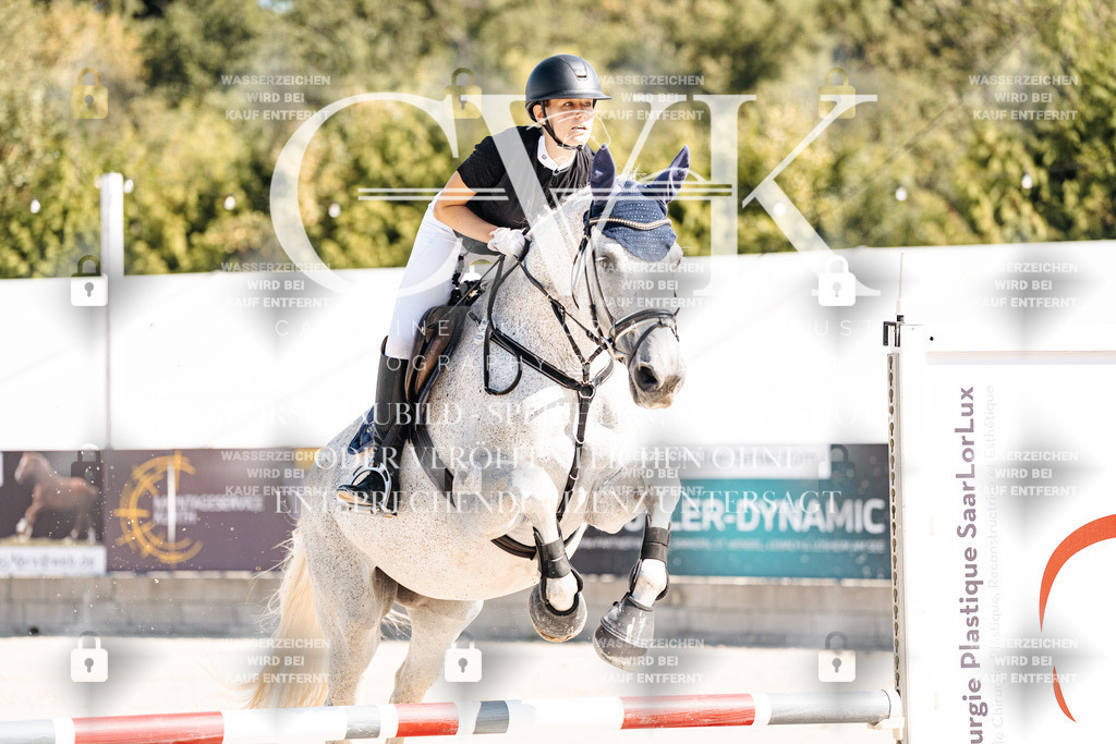 CK905108 | Turnierfotografie Pferdefotografie Trier Rheinland-Pfalz Pferdesport Reitsport Tierfotografie Sportfotografie Pferdevideo Pferdevideografie Equestrianvideography equestrianphotography  - Realisiert mit Pictrs.com
