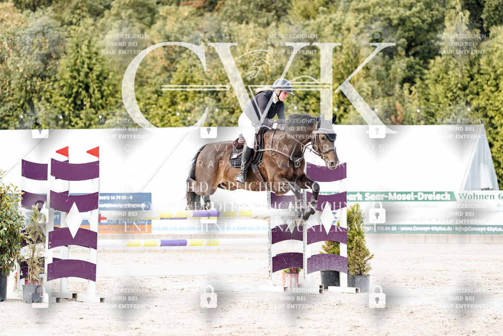 CK903709 | Turnierfotografie Pferdefotografie Trier Rheinland-Pfalz Pferdesport Reitsport Tierfotografie Sportfotografie Pferdevideo Pferdevideografie Equestrianvideography equestrianphotography  - Realisiert mit Pictrs.com
