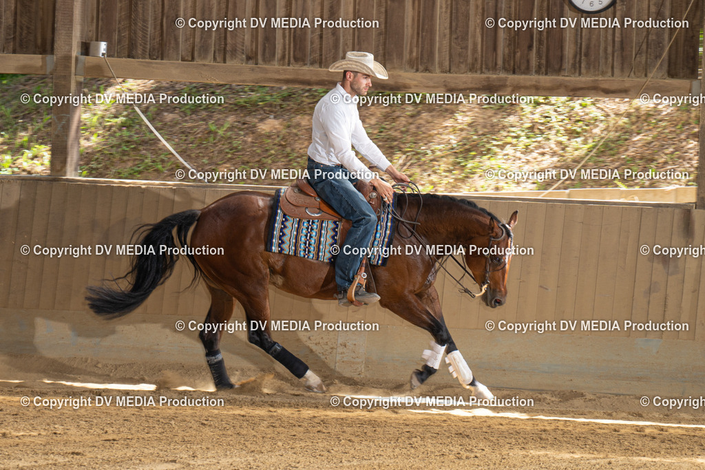 DSC00295 | dv-media-shop - Realisiert mit Pictrs.com