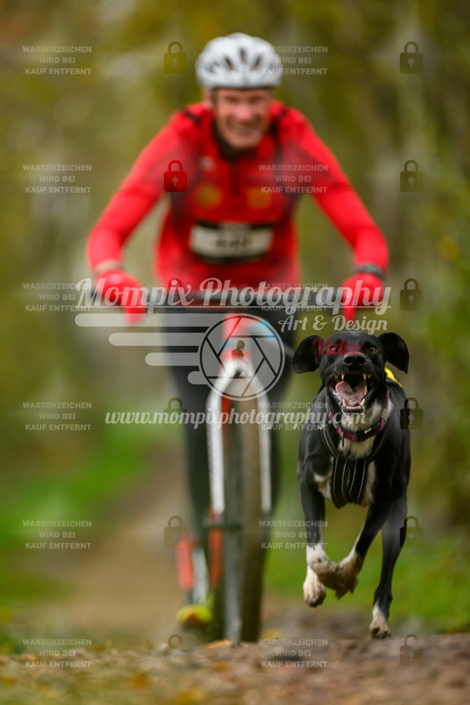 MompixPhotography_20TSB_E6_DS1-67 | PayLife