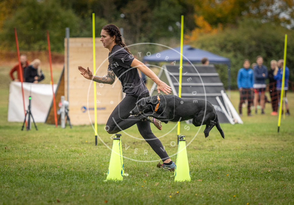 Pfotenfotografie_DV3A0013 | Hundefotografie, Tierfotograf, Pfotenfotografie, Fotoshooting Hund, Hunde Portrait, Hundesport, Hundeportraits, Heideshooting, Hunde, Sportfotograf, Hundefotograf, Turnierhundsport, THS,  - Realisiert mit Pictrs.com