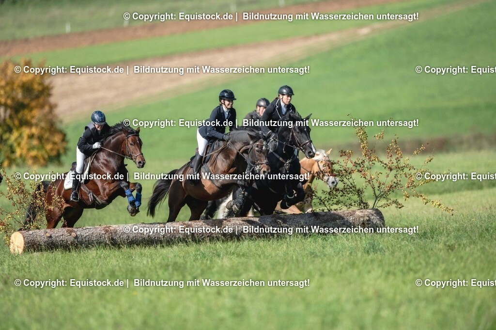 20251011_Jagd-Marbach_0258 | Foto: Thomas Hartig