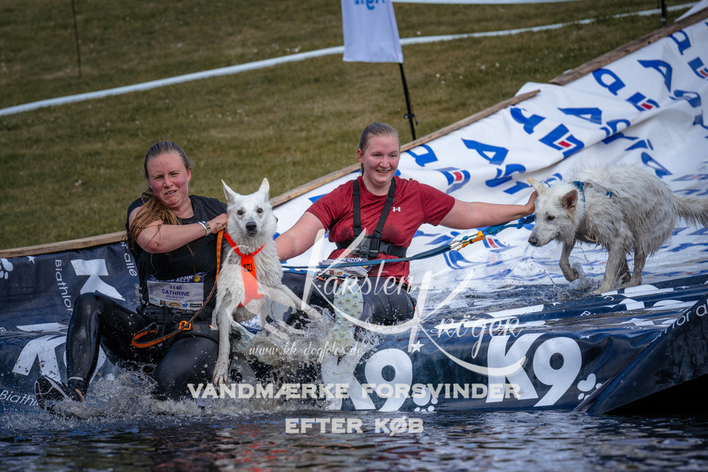 _ZZ919480919 | kk-dogfotos