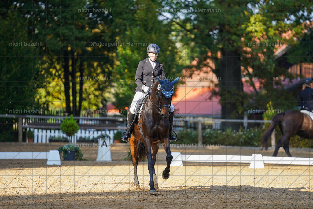 20221007-FAH00166 | Diessen am Ammersee, 2022, Dressur- und Springturnier, Reitsportbilder, Turnierfotografen Bayern, Pferdefotografen, Fotoagentur Herrmann, Turnierbilder